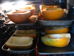 An oven full of pumpkin halves.